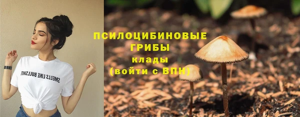 герыч Алзамай
