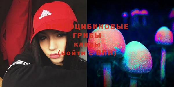 герыч Алзамай