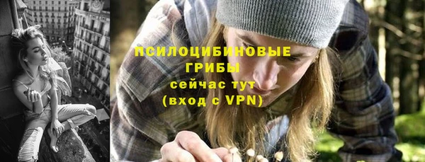 герыч Алзамай