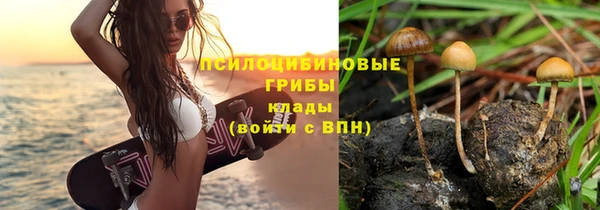 бошки Алексеевка