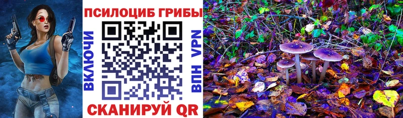 Галлюциногенные грибы Psilocybine cubensis  купить наркоту  Октябрьск 